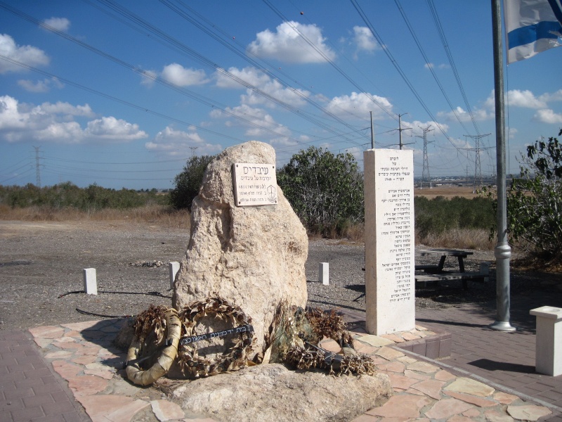 קובץ:משלט עיבדיס.JPG