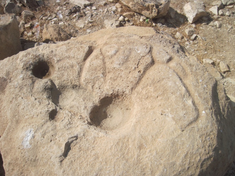 קובץ:מתקניבודדה סקרהרודיון.JPG