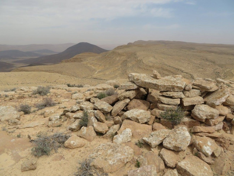 קובץ:נואמיסוהערוד.jpg