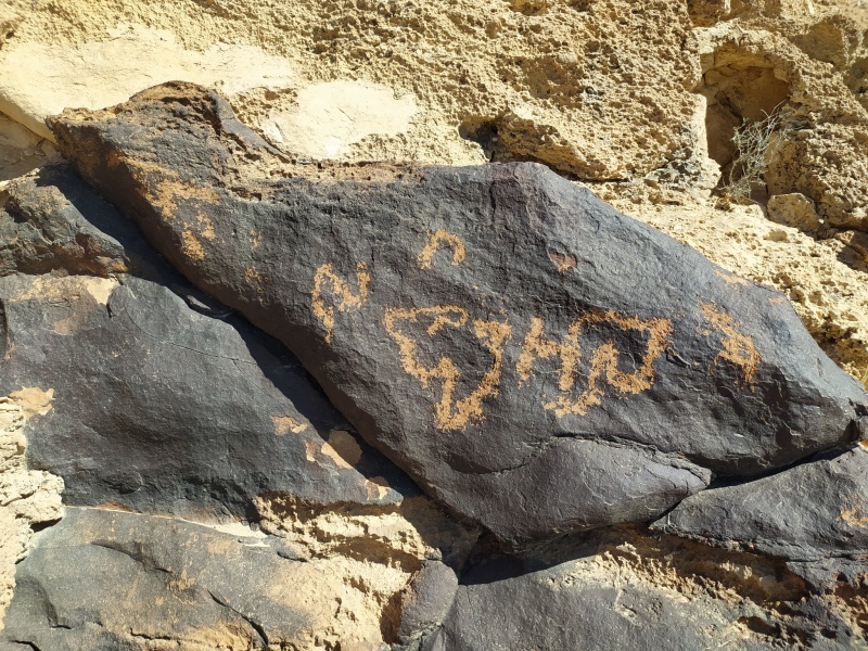 קובץ:נוספיםמז.jpg