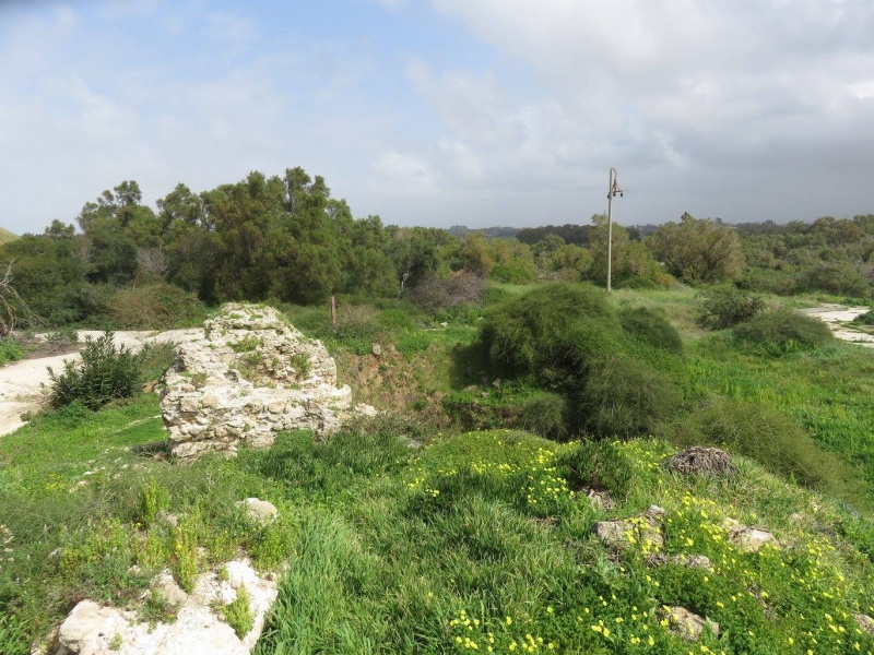 קובץ:נוףיםתעש.jpg