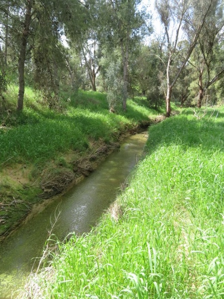 קובץ:נחלבהומים.jpg