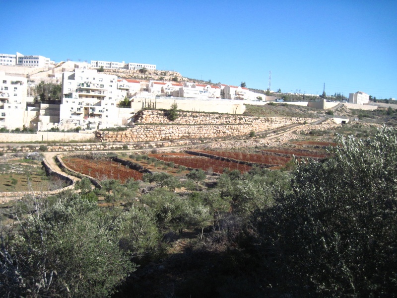 קובץ:נחלהחייל.JPG