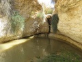 תמונה ממוזערת לגרסה מתאריך 17:00, 26 בפברואר 2016