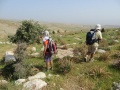 תמונה ממוזערת לגרסה מתאריך 18:01, 18 במרץ 2013