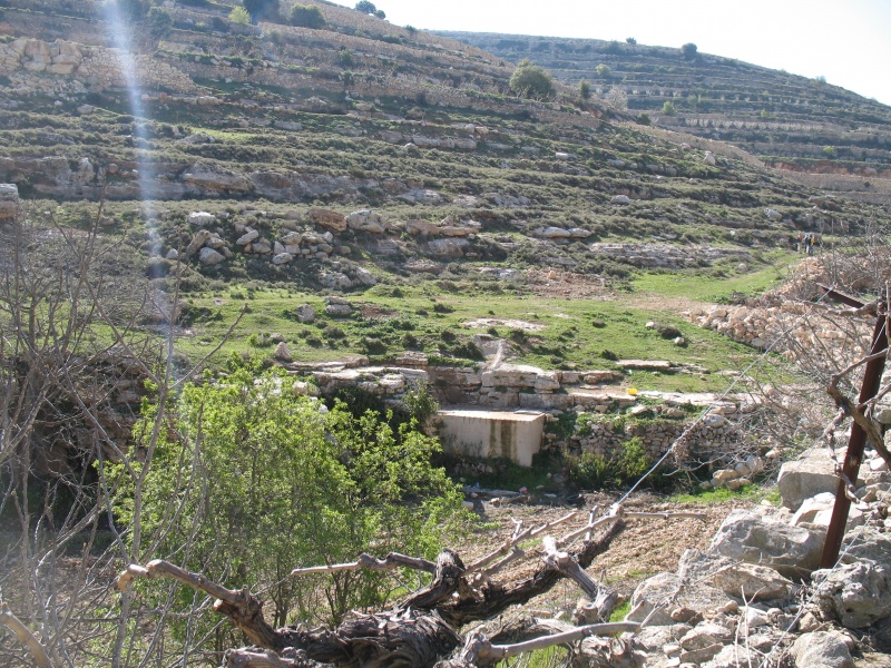 קובץ:סביב עין א-רשרש.jpg