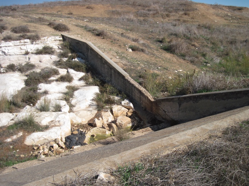 קובץ:סכראדוריים.JPG