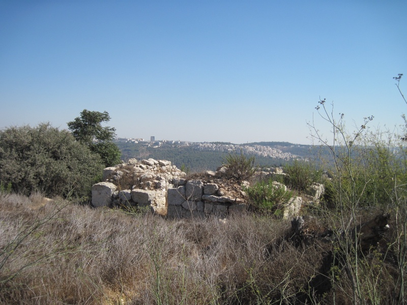 קובץ:עזיזקבר.JPG