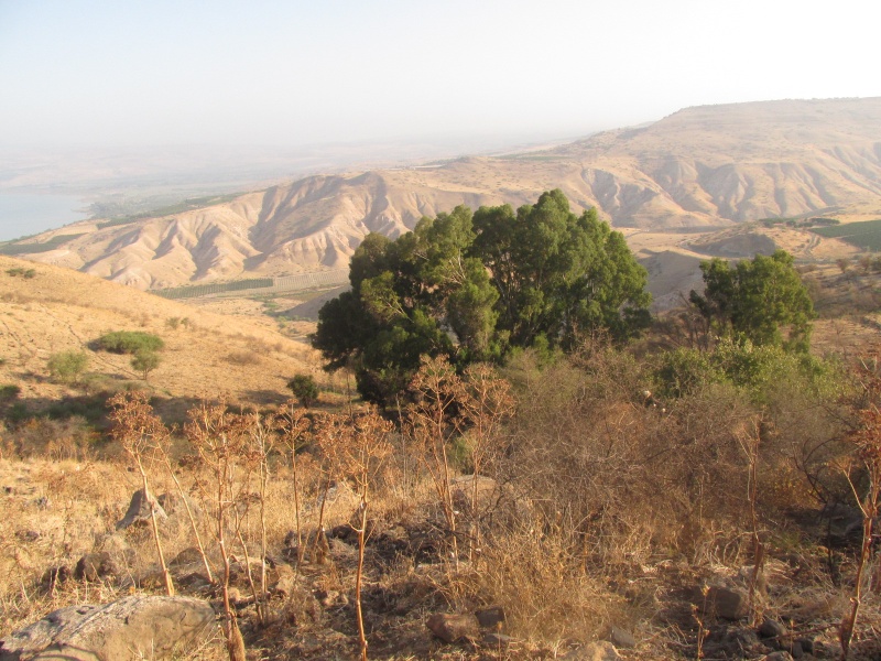 קובץ:עיןסויקטה.JPG