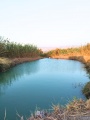 תמונה ממוזערת לגרסה מתאריך 16:05, 14 ביולי 2024