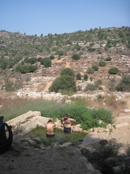 קובץ:עין לימון.JPG