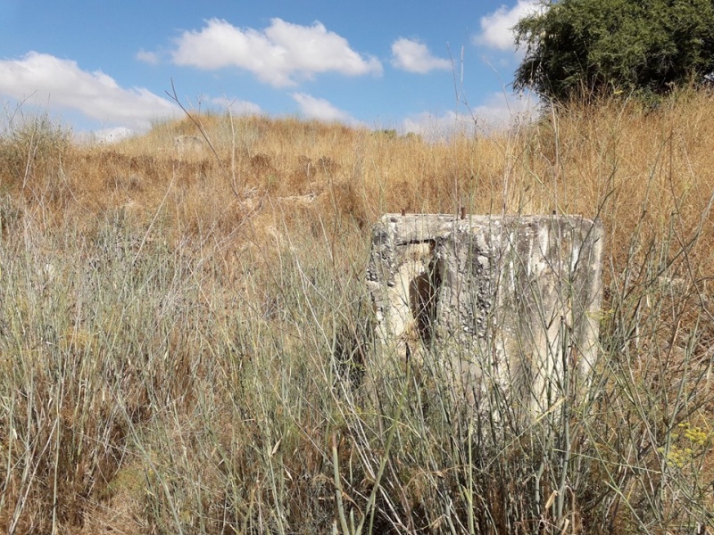 קובץ:עמודנבאללה.jpg