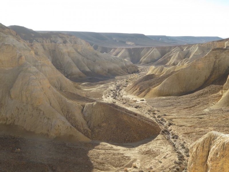 קובץ:ערוץרמותשגיא.jpg