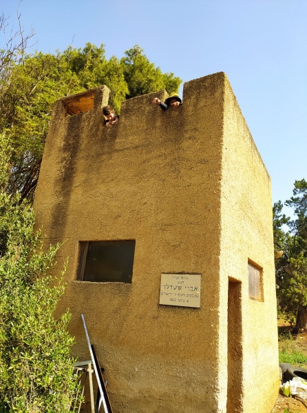 קובץ:פילבוקסשדנהחום.jpg