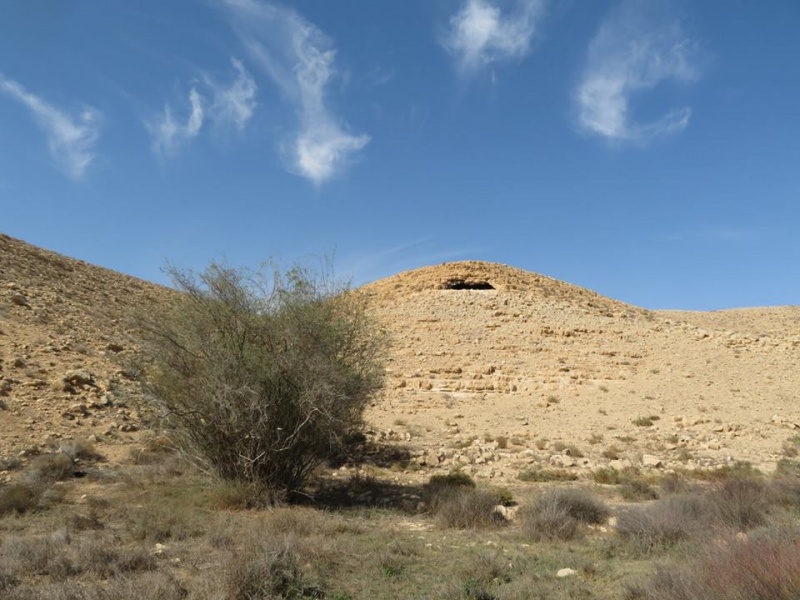 קובץ:פתחיובלערטנית.jpg