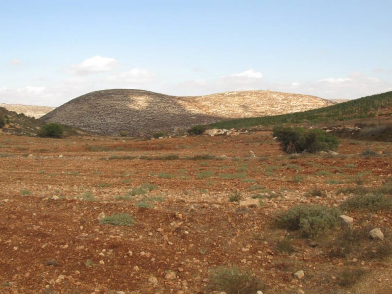 קובץ:צוקהלהבה.jpg