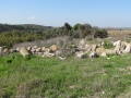 תמונה ממוזערת לגרסה מתאריך 19:23, 25 בינואר 2023