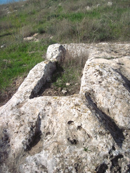 קובץ:קברתיבהבולק.JPG