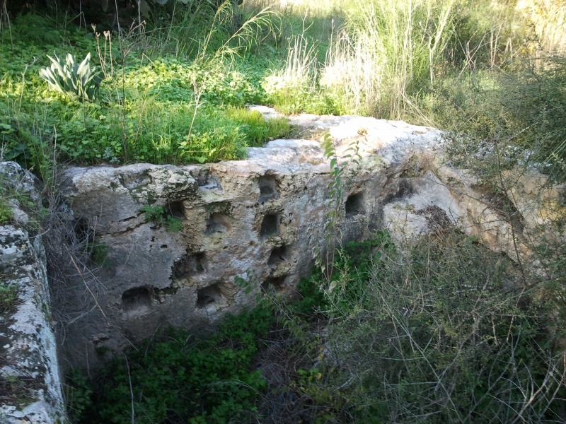 קובץ:קולומבריום.jpg