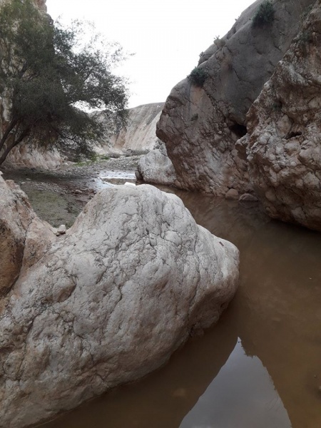 קובץ:קניוןאפרים.jpg