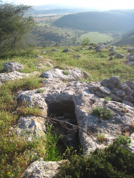 קובץ:רבידחרבה.JPG