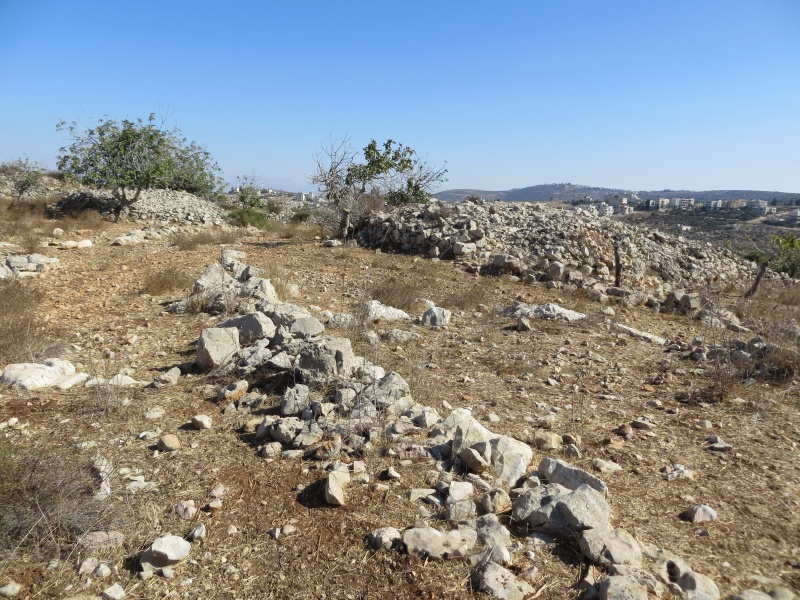 קובץ:רגום רוגמן.JPG