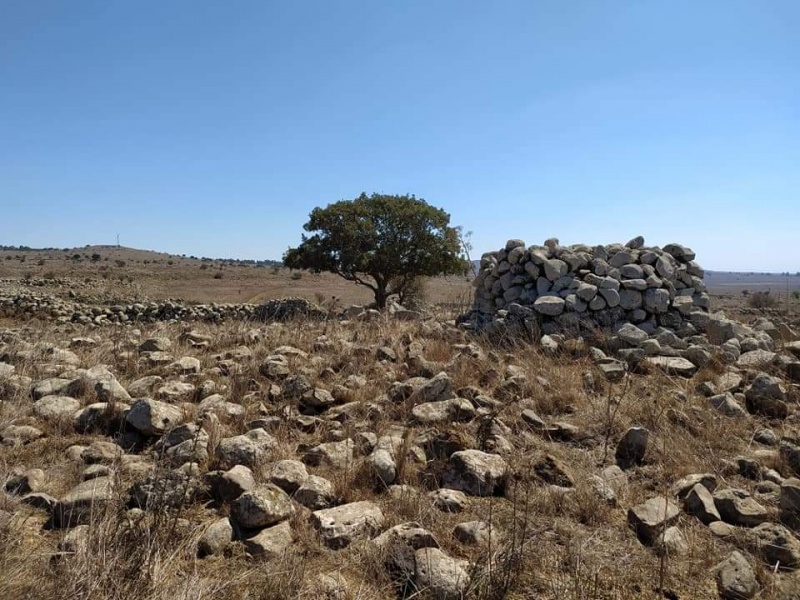 קובץ:רגםאבןלידרכב.jpg