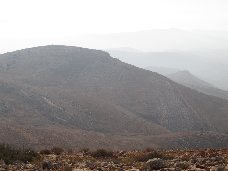 קובץ:רסא-רמלי.JPG