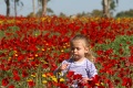 תמונה ממוזערת לגרסה מתאריך 07:07, 24 ביוני 2015