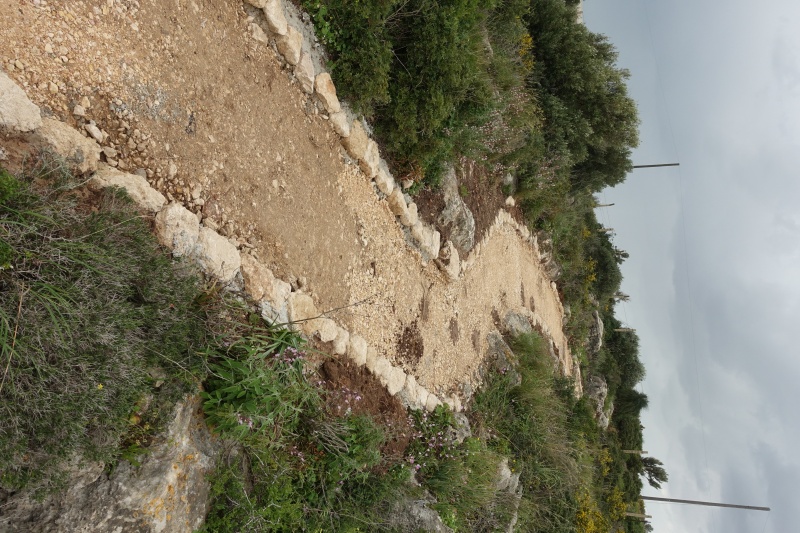 קובץ:שביל הרכס המחודש-צילום אהוד גלילי.JPG