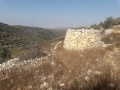 תמונה ממוזערת לגרסה מתאריך 11:46, 14 בספטמבר 2019