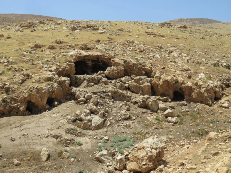 קובץ:שלוחה סנסילהפריכר.jpg