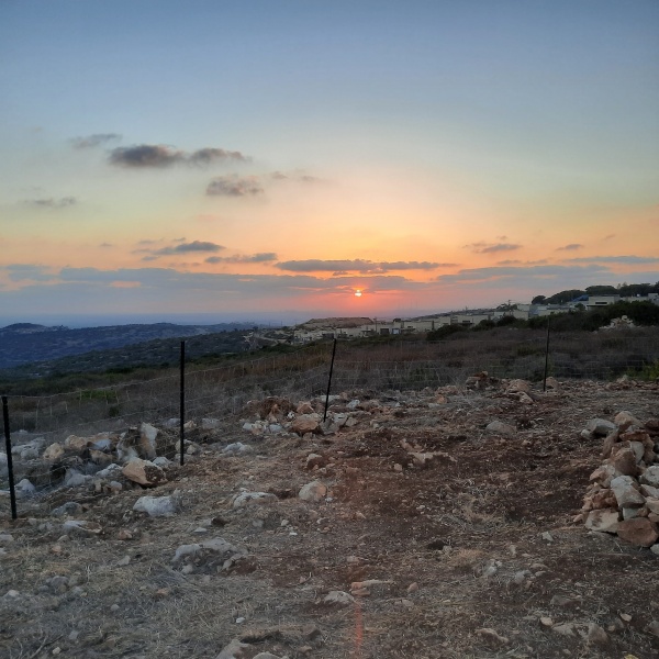 קובץ:שקיעה.jpg