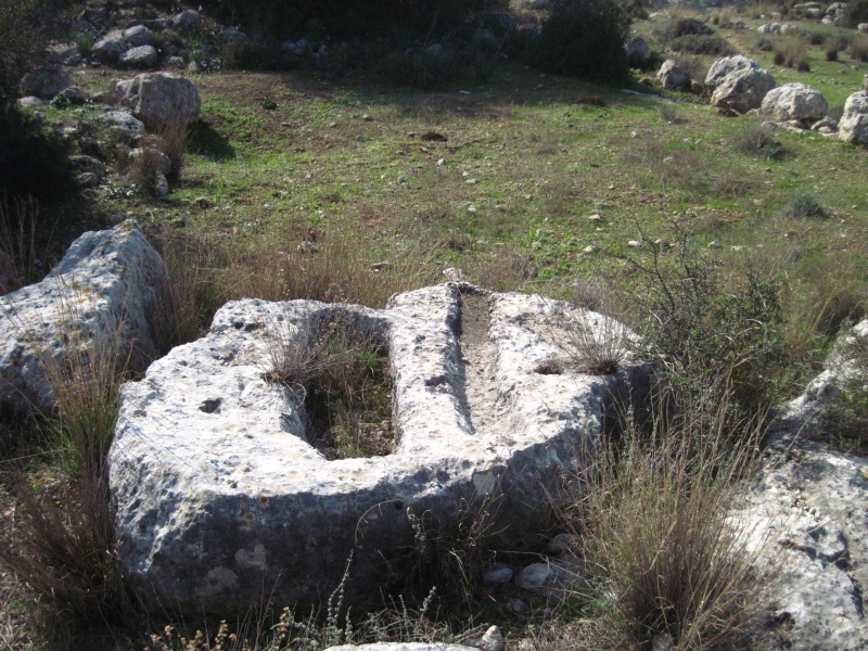 קובץ:שקתותאתר200.JPG