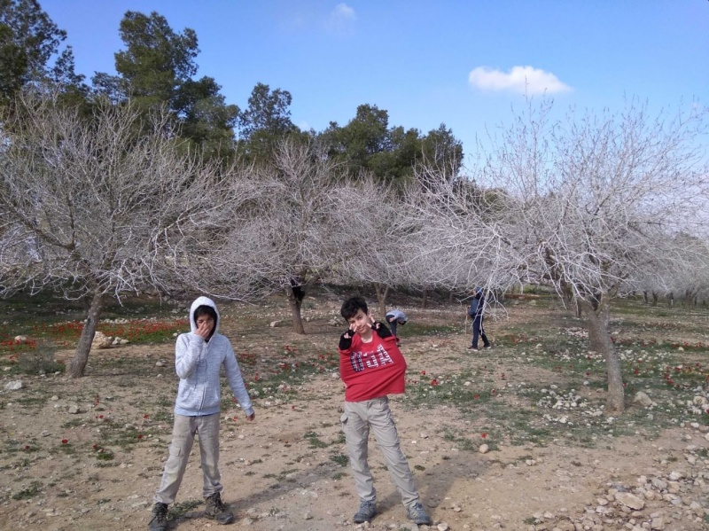 קובץ:שראיק.JPG