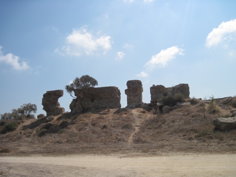 קובץ:שרידי חומה.JPG