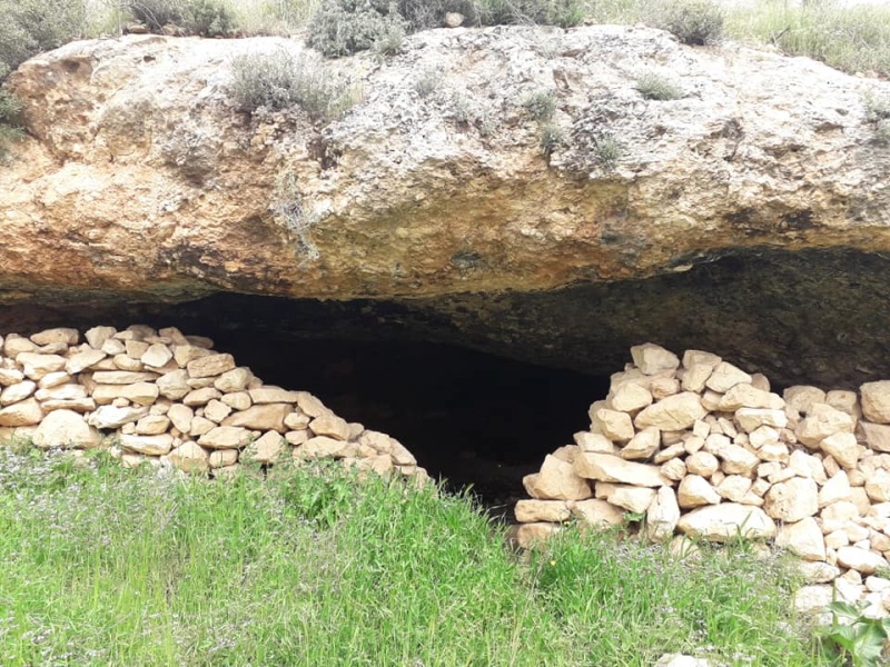 קובץ:שתימערותחבס.jpg