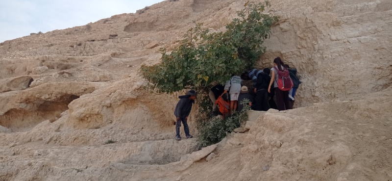 קובץ:תאנה 7.12.24 בור-התאנה נחל-קדם-עליון ש-1.jpg