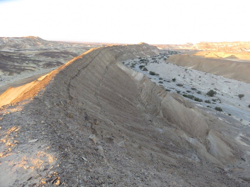 קובץ:תלםציחור.jpg