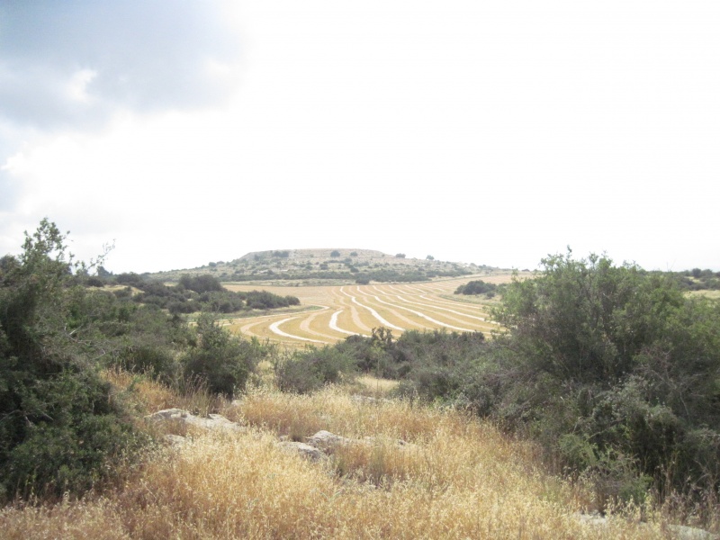 קובץ:תלמראשה.JPG