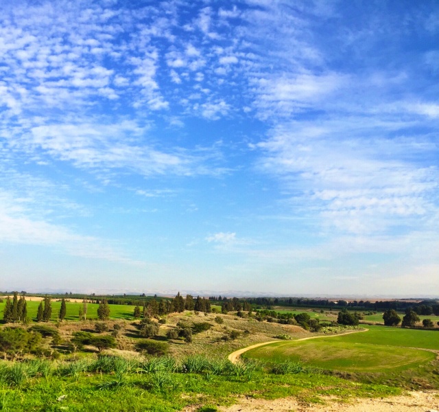 קובץ:תלשקף.jpg