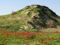 תמונה ממוזערת לגרסה מתאריך 09:00, 9 בפברואר 2014