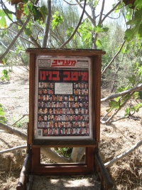 תם ותומר.JPG