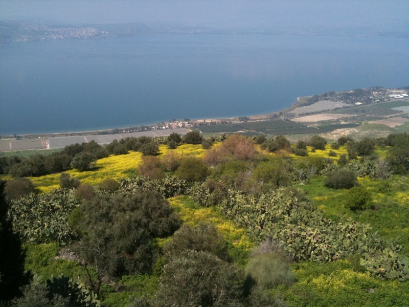 קובץ:תצפית לשלום.JPG