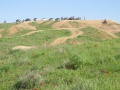 תמונה ממוזערת לגרסה מתאריך 04:52, 5 בפברואר 2015