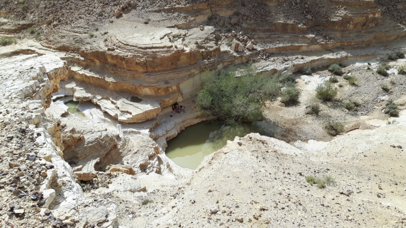 קובץ:13009840 916356215128395 1050742234 o.png.jpg