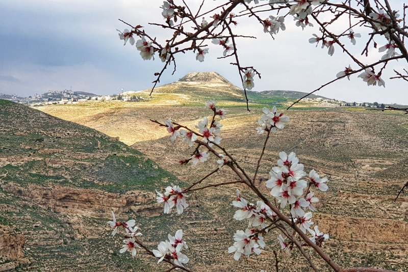 קובץ:141.jpg