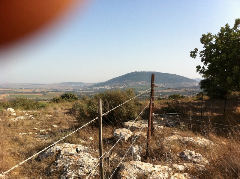 קובץ:2011.07.30-164907.159.iphone.jpg