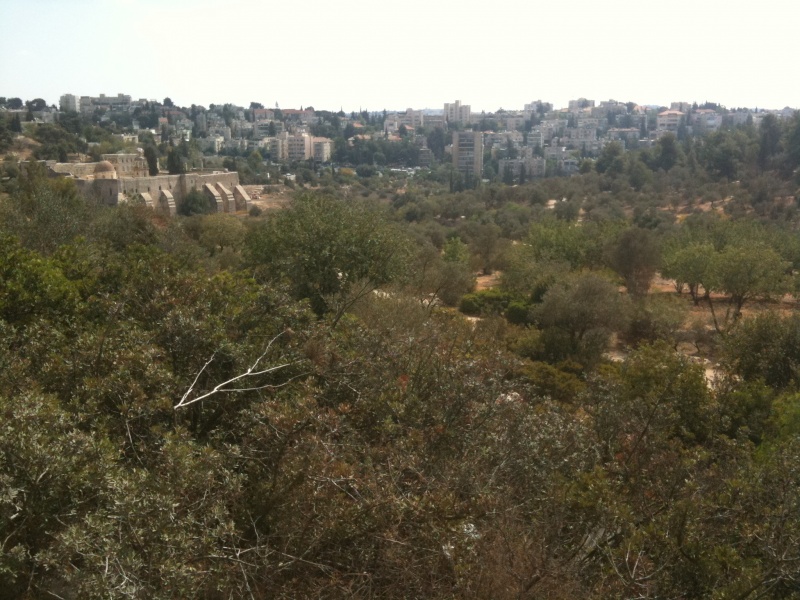 קובץ:2011.10.17-114147.966.iphone.jpg