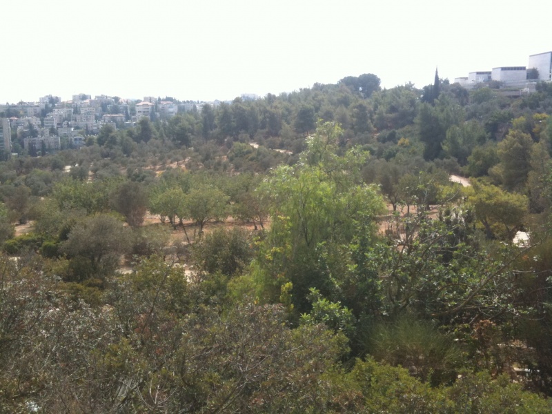 קובץ:2011.10.17-114202.584.iphone.jpg